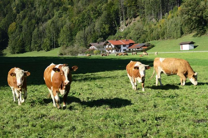 Ferienwohnung Leitner Kiefersfelden Dış mekan fotoğraf