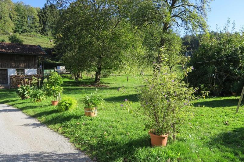Ferienwohnung Leitner Kiefersfelden Dış mekan fotoğraf